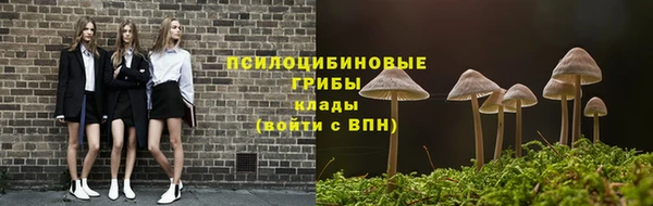 трава Горно-Алтайск