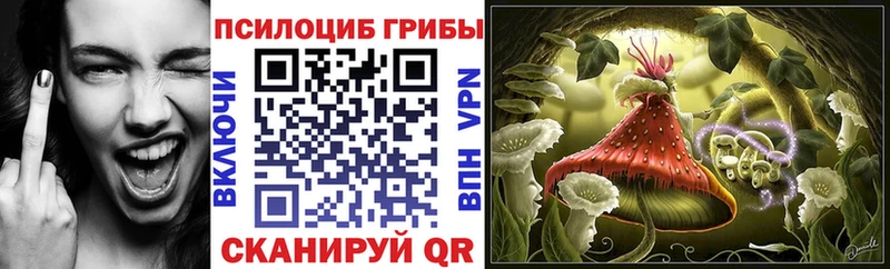 Псилоцибиновые грибы Psilocybine cubensis  купить   Южно-Сахалинск 